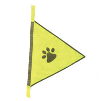 Safety Vest 